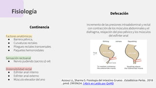 Fisiología
Continencia
Factores anatómicos:
● Barrera pélvica,
● Curvaturas rectales
● Pliegues rectales transversales
● Paquetes hemorroidales
Sensación rectoanal
● Nervio pudendo (sacros s2-s4)
Distensibilidad rectal
● Esﬁnter anal interno
● Esﬁnter anal externo
● Músculo elevador del ano
Defecación
incremento de las presiones intraabdominal y rectal
con contracción de los músculos abdominales y el
diafragma, relajación del piso pélvico y los músculos
del esfínter anal
Azzouz LL, Sharma S. Fisiología del Intestino Grueso . Estadísticas Perlas . 2018
. pmid: 29939634. | Abrir en Leído por QxMD
 
