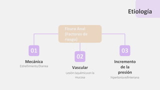Etiología
Fisura Anal
(Factores de
riesgo)
01
Mecánica
Estreñimiento/Diarrea
02
Vascular
Lesión isquémica en la
mucosa
03
Incremento
de la
presión
hipertonía esﬁnteriana
 