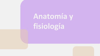 Anatomía y
fisiología
 