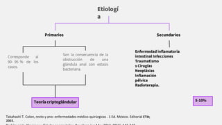 Etiologí
a
Primarios Secundarios
Son la consecuencia de la
obstrucción de una
glándula anal con estasis
bacteriana.
Teoría criptoglándular
Corresponde al
90- 95 % de los
casos.
5-10%
Enfermedad inﬂamatoria
intestinal Infecciones
Traumatismo
s Cirugías
Neoplásias
Inﬂamación
pélvica
Radioterapia.
Takahashi T. Colon, recto y ano: enfermedades médico-quirúrgicas . 1 Ed. México. Editorial ETM;
2003.
 