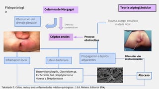 Teoría criptoglándular
Fisiopatologi
a
Columna de Morgagni
Criptas anales Proceso
obstructivo
Obstrucción del
drenaje glandular
Inﬂamación local Estasis bacteriana
Propagación a tejidos
adyacentes
Drena su
contenido en
Trauma, cuerpo extraño o
materia fecal
Bacteroides fragilis, Clostridium sp,
Escherichia Coli, Staphylococcus
Aureus y Streptococcus
Absceso
Diferentes vías
de diseminación
Takahashi T. Colon, recto y ano: enfermedades médico-quirúrgicas . 1 Ed. México. Editorial ETM;
 