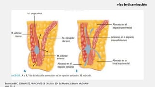 Brunicardi FC. SCHWARTZ. PRINCIPIOS DE CIRUGÍA. 10ª Ed. Madrid. Editorial McGRAW-
HILL;2015
vías de diseminación
 