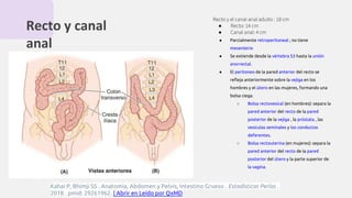Recto y canal
anal
Recto y el canal anal adulto : 18 cm
● Recto: 14 cm
● Canal anal: 4 cm
● Parcialmente retroperitoneal ; no tiene
mesenterio
● Se extiende desde la vértebra S3 hasta la unión
anorrectal.
● El peritoneo de la pared anterior del recto se
refleja anteriormente sobre la vejiga en los
hombres y el útero en las mujeres, formando una
bolsa ciega.
○ Bolsa rectovesical (en hombres): separa la
pared anterior del recto de la pared
posterior de la vejiga , la próstata , las
vesículas seminales y los conductos
deferentes.
○ Bolsa rectouterina (en mujeres): separa la
pared anterior del recto de la pared
posterior del útero y la parte superior de
la vagina.
Kahai P, Bhimji SS . Anatomía, Abdomen y Pelvis, Intestino Grueso . Estadísticas Perlas .
2018 . pmid: 29261962. | Abrir en Leído por QxMD
 