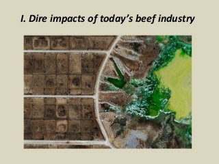 I. Dire impacts of today’s beef industry 
 