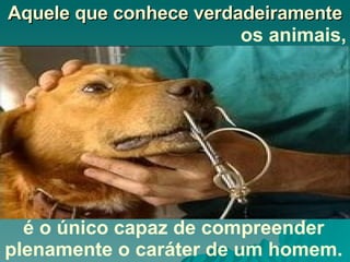 Aquele que conhece verdadeiramente os animais, é o único capaz de compreender plenamente o caráter de um homem. 