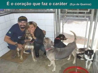 É o coração que faz o caráter  (Eça de Queiroz) 