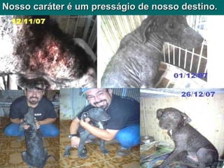 Nosso caráter é um presságio de nosso destino. 