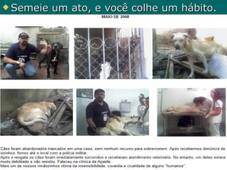 Semeie um ato, e você colhe um hábito. 