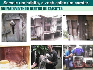 Semeie um hábito, e você colhe um caráter. 