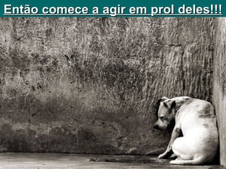 Então comece a agir em prol deles!!! 