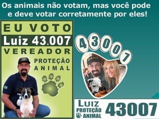 Os animais não votam, mas você pode e deve votar corretamente por eles! 