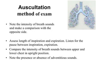 • Assess length of inspiration and expiration. Listen for the
pause between inspiration, expiration.
• Compare the intensity of breath sounds between upper and
lower chest in upright position.
• Note the presence or absence of adventitious sounds.
Auscultation
method of exam
• Note the intensity of breath sounds
and make a comparison with the
opposite side.
 