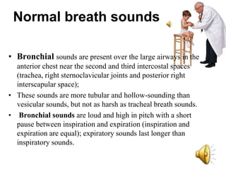 • Bronchial sounds are present over the large airways in the
anterior chest near the second and third intercostal spaces
(trachea, right sternoclavicular joints and posterior right
interscapular space);
• These sounds are more tubular and hollow-sounding than
vesicular sounds, but not as harsh as tracheal breath sounds.
• Bronchial sounds are loud and high in pitch with a short
pause between inspiration and expiration (inspiration and
expiration are equal); expiratory sounds last longer than
inspiratory sounds.
Normal breath sounds
 