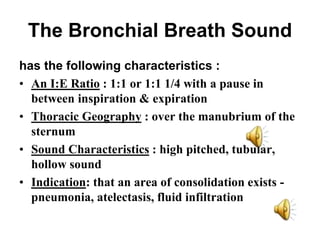 The Bronchial Breath Sound
has the following characteristics :
• An I:E Ratio : 1:1 or 1:1 1/4 with a pause in
between inspiration & expiration
• Thoracic Geography : over the manubrium of the
sternum
• Sound Characteristics : high pitched, tubular,
hollow sound
• Indication: that an area of consolidation exists -
pneumonia, atelectasis, fluid infiltration
 