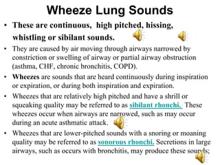 Wheeze Lung Sounds
• These are continuous, high pitched, hissing,
whistling or sibilant sounds.
• They are caused by air moving through airways narrowed by
constriction or swelling of airway or partial airway obstruction
(asthma, CHF, chronic bronchitis, COPD).
• Wheezes are sounds that are heard continuously during inspiration
or expiration, or during both inspiration and expiration.
• Wheezes that are relatively high pitched and have a shrill or
squeaking quality may be referred to as sibilant rhonchi. These
wheezes occur when airways are narrowed, such as may occur
during an acute asthmatic attack.
• Wheezes that are lower-pitched sounds with a snoring or moaning
quality may be referred to as sonorous rhonchi. Secretions in large
airways, such as occurs with bronchitis, may produce these sounds;
 