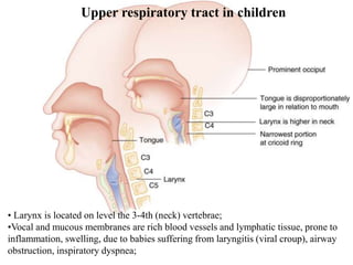• Larynx is located on level the 3-4th (neck) vertebrae;
•Vocal and mucous membranes are rich blood vessels and lymphatic tissue, prone to
inflammation, swelling, due to babies suffering from laryngitis (viral croup), airway
obstruction, inspiratory dyspnea;
Upper respiratory tract in children
 