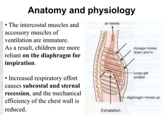 Anatomy and physiology
• The intercostal muscles and
accessory muscles of
ventilation are immature.
As a result, children are more
reliant on the diaphragm for
inspiration.
• Increased respiratory effort
causes subcostal and sternal
recession, and the mechanical
efficiency of the chest wall is
reduced.
 