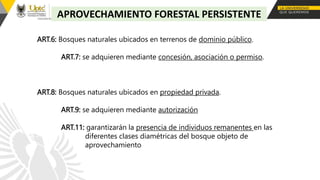 APROVECHAMIENTO FORESTAL PERSISTENTE
ART.6: Bosques naturales ubicados en terrenos de dominio público.
ART.7: se adquieren mediante concesión, asociación o permiso.
ART.8: Bosques naturales ubicados en propiedad privada.
ART.9: se adquieren mediante autorización
ART.11: garantizarán la presencia de individuos remanentes en las
diferentes clases diamétricas del bosque objeto de
aprovechamiento
 
