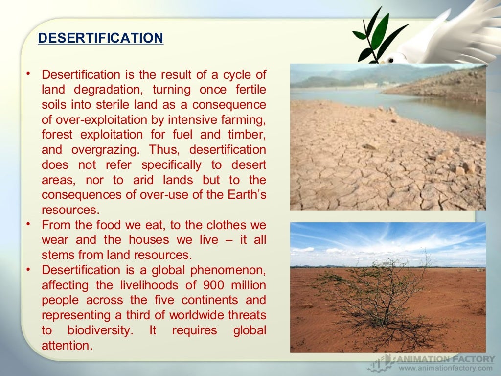 World Day to Combat Desertification and Drought