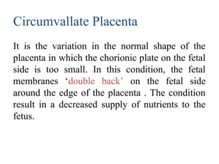 Circumvallate Placenta
It is the variation in the normal shape of the
placenta in which the chorionic plate on the fetal
side is too small. In this condition, the fetal
membranes ‘double back’ on the fetal side
around the edge of the placenta . The condition
result in a decreased supply of nutrients to the
fetus.
 