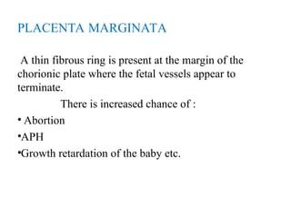 PLACENTA MARGINATA
A thin fibrous ring is present at the margin of the
chorionic plate where the fetal vessels appear to
terminate.
There is increased chance of :
• Abortion
•APH
•Growth retardation of the baby etc.
 