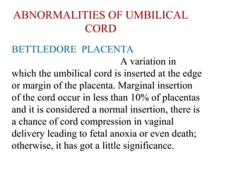 ABNORMALITIES OF UMBILICAL
CORD
BETTLEDORE PLACENTA
A variation in
which the umbilical cord is inserted at the edge
or margin of the placenta. Marginal insertion
of the cord occur in less than 10% of placentas
and it is considered a normal insertion, there is
a chance of cord compression in vaginal
delivery leading to fetal anoxia or even death;
otherwise, it has got a little significance.
 