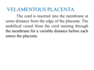 VELAMENTOUS PLACENTA
The cord is inserted into the membrane at
some distance from the edge of the placenta. The
umbilical vessel from the cord running through
the membrane for a variable distance before each
enters the placenta.
 