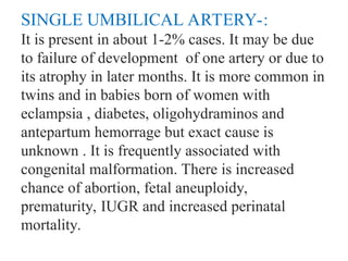 SINGLE UMBILICAL ARTERY-:
It is present in about 1-2% cases. It may be due
to failure of development of one artery or due to
its atrophy in later months. It is more common in
twins and in babies born of women with
eclampsia , diabetes, oligohydraminos and
antepartum hemorrage but exact cause is
unknown . It is frequently associated with
congenital malformation. There is increased
chance of abortion, fetal aneuploidy,
prematurity, IUGR and increased perinatal
mortality.
 