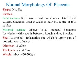 Normal Morphology Of Placenta
Shape: Disc like
Surface :
Fetal surface- It is covered with amnion and fetal blood
vessels. Umbilical cord is attached near the center of this
surface.
Maternal surface- Shows 15-20 rounded elevations
(cotyledon) with septa in between. Rough and red in color.
Site: At original implantation site which is upper part of
posterior wall of uterus.
Diameter :15-20cm
Thickness : about 3cm
Weight : about 450-500gm
 