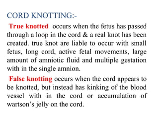 CORD KNOTTING:-
True knotted occurs when the fetus has passed
through a loop in the cord & a real knot has been
created. true knot are liable to occur with small
fetus, long cord, active fetal movements, large
amount of amniotic fluid and multiple gestation
with in the single amnion.
False knotting occurs when the cord appears to
be knotted, but instead has kinking of the blood
vessel with in the cord or accumulation of
wartson’s jelly on the cord.
 