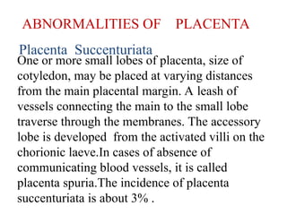 ABNORMALITIES OF PLACENTA
Placenta Succenturiata
One or more small lobes of placenta, size of
cotyledon, may be placed at varying distances
from the main placental margin. A leash of
vessels connecting the main to the small lobe
traverse through the membranes. The accessory
lobe is developed from the activated villi on the
chorionic laeve.In cases of absence of
communicating blood vessels, it is called
placenta spuria.The incidence of placenta
succenturiata is about 3% .
 