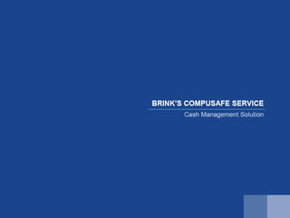 CompuSafe Presentation | PDF