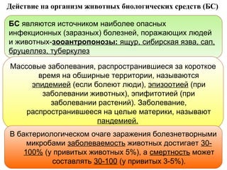 Действие на организм животных биологических средств (БС)
БС являются источником наиболее опасных
инфекционных (заразных) болезней, поражающих людей
и животных-зооантропонозы: ящур, сибирская язва, сап,
бруцеллез, туберкулез
Массовые заболевания, распространившиеся за короткое
время на обширные территории, называются
эпидемией (если болеют люди), эпизоотией (при
заболевании животных), эпифитотией (при
заболевании растений). Заболевание,
распространившееся на целые материки, называют
пандемией.
В бактериологическом очаге заражения болезнетворными
микробами заболеваемость животных достигает 30100% (у привитых животных 5%), а смертность может
составлять 30-100 (у привитых 3-5%).

 