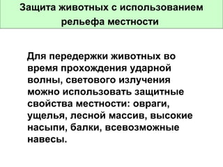 Защита животных с использованием
рельефа местности
Для передержки животных во
время прохождения ударной
волны, светового излучения
можно использовать защитные
свойства местности: овраги,
ущелья, лесной массив, высокие
насыпи, балки, всевозможные
навесы.

 