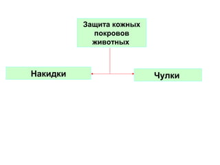 Защита кожных
покровов
животных

Накидки

Чулки

 
