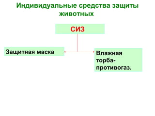 Индивидуальные средства защиты
животных
СИЗ
Защитная маска

Влажная
торбапротивогаз.

 