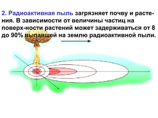 2. Радиоактивная пыль загрязняет почву и растения. В зависимости от величины частиц на
поверх-ности растений может задерживаться от 8
до 90% выпавшей на землю радиоактивной пыли.

 