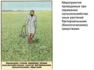 Мероприятия
проводимые при
заражении
сельскохозяйстве
нных растений
бактериальными
(биологическими)
средствами.

 
