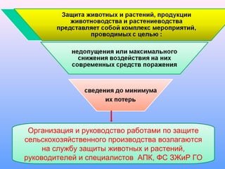 Организация и руководство работами по защите
сельскохозяйственного производства возлагаются
на службу защиты животных и растений,
руководителей и специалистов АПК, ФС ЗЖиР ГО

 