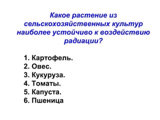 Какое растение из
сельскохозяйственных культур
наиболее устойчиво к воздействию
радиации?
1. Картофель.
2. Овес.
3. Кукуруза.
4. Томаты.
5. Капуста.
6. Пшеница

 