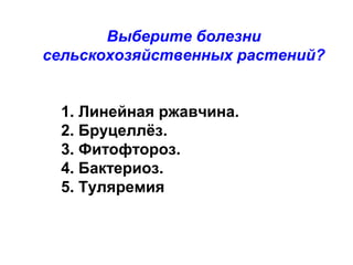 Выберите болезни
сельскохозяйственных растений?
1. Линейная ржавчина.
2. Бруцеллёз.
3. Фитофтороз.
4. Бактериоз.
5. Туляремия

 
