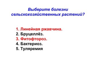 Выберите болезни
сельскохозяйственных растений?
1. Линейная ржавчина.
2. Бруцеллёз.
3. Фитофтороз.
4. Бактериоз.
5. Туляремия

 