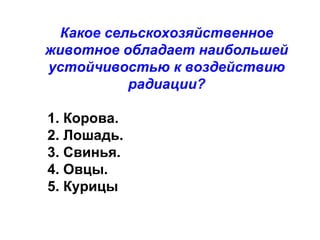 Какое сельскохозяйственное
животное обладает наибольшей
устойчивостью к воздействию
радиации?
1. Корова.
2. Лошадь.
3. Свинья.
4. Овцы.
5. Курицы

 