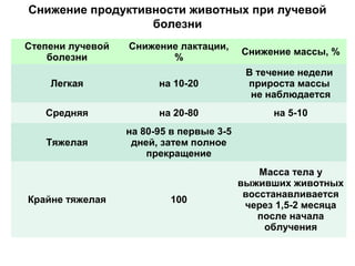 Снижение продуктивности животных при лучевой
болезни
Степени лучевой
болезни

Снижение лактации,
%

Снижение массы, %

Легкая

на 10-20

В течение недели
прироста массы
не наблюдается

Средняя

на 20-80

на 5-10

Тяжелая

на 80-95 в первые 3-5
дней, затем полное
прекращение

Крайне тяжелая

100

Масса тела у
выживших животных
восстанавливается
через 1,5-2 месяца
после начала
облучения

 