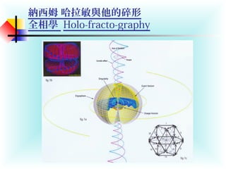 納西姆 哈拉敏與他的碎形
全相學 Holo-fracto-graphy
1962-
 