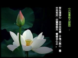 中常   《
而生   六
有清   祖
定淨   惠
；心   能
定，   大
慧定   師
等中   語
無而   》
先有   ：
，慧
雙；
修于
自境
心上
正無
。心
 ，
 慧
 