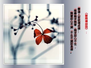 學
  唯道
無學人
著無若
即求欲
心無得
不著成
滅，佛
，無




  …
不求
生即
不心
滅不
即生
是，
佛
。
 