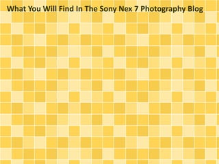 What You Will Find In The Sony Nex 7 Photography Blog
 