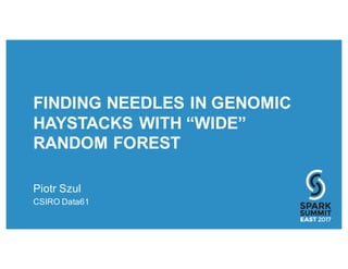 FINDING NEEDLES IN GENOMIC
HAYSTACKS WITH “WIDE”
RANDOM FOREST
Piotr Szul
CSIRO Data61
 
