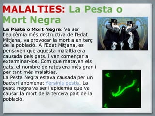MALALTIES:  La Pesta o Mort Negra La Pesta o Mort Negra:  Va ser l'epidèmia més destructiva de l'Edat Mitjana, va provocar la mort a un terç de la població. A l'Edat Mitjana, es pensaven que aquesta malaltia era causada pels gats, i van començar a exterminar-los. Com que mataven els gats, el nombre de rates era més gran i per tant més malalties. La Pesta Negra estava causada per un  bacteri anomenat  Yersinia pestis . La pesta negra va ser l'epidèmia que va causar la mort de la tercera part de la població. 